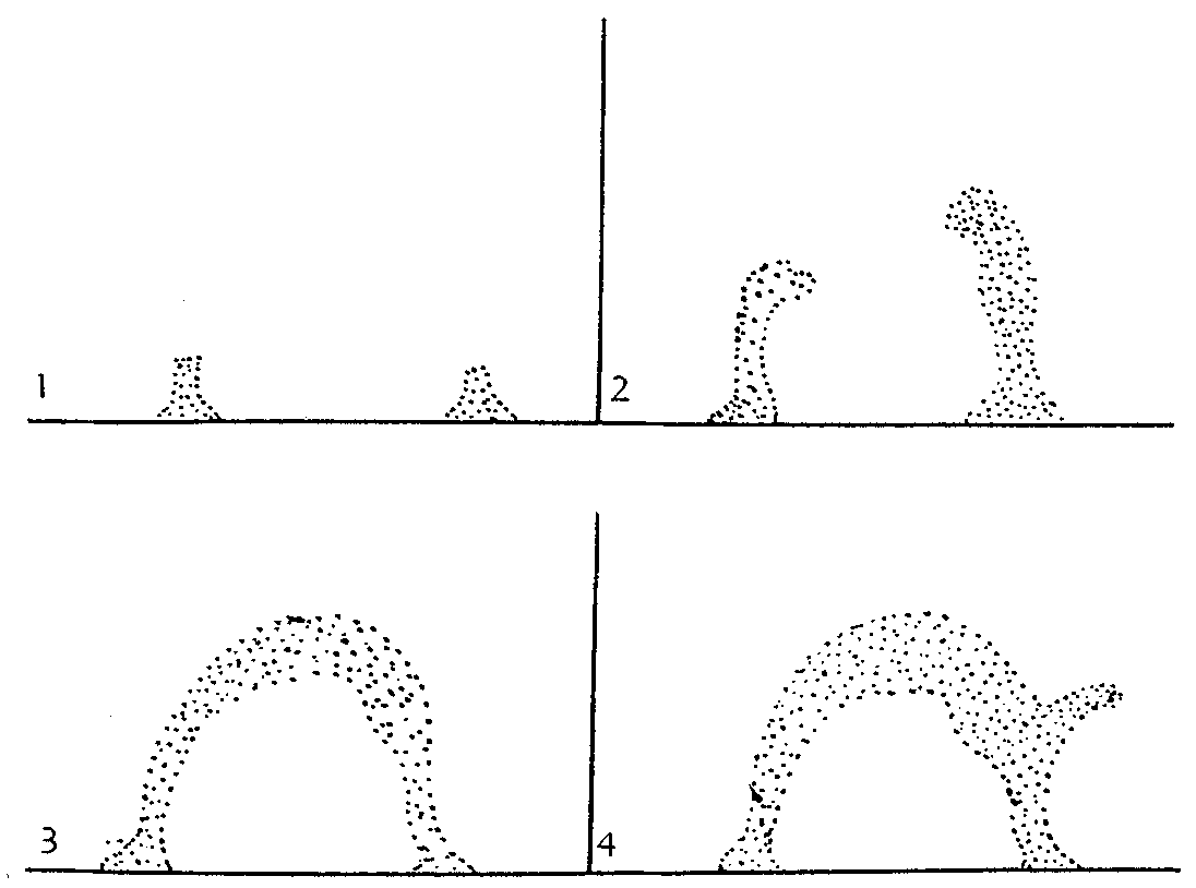 Fig. 1. Diagram of the construction of a complete arch (only four stages are represented).