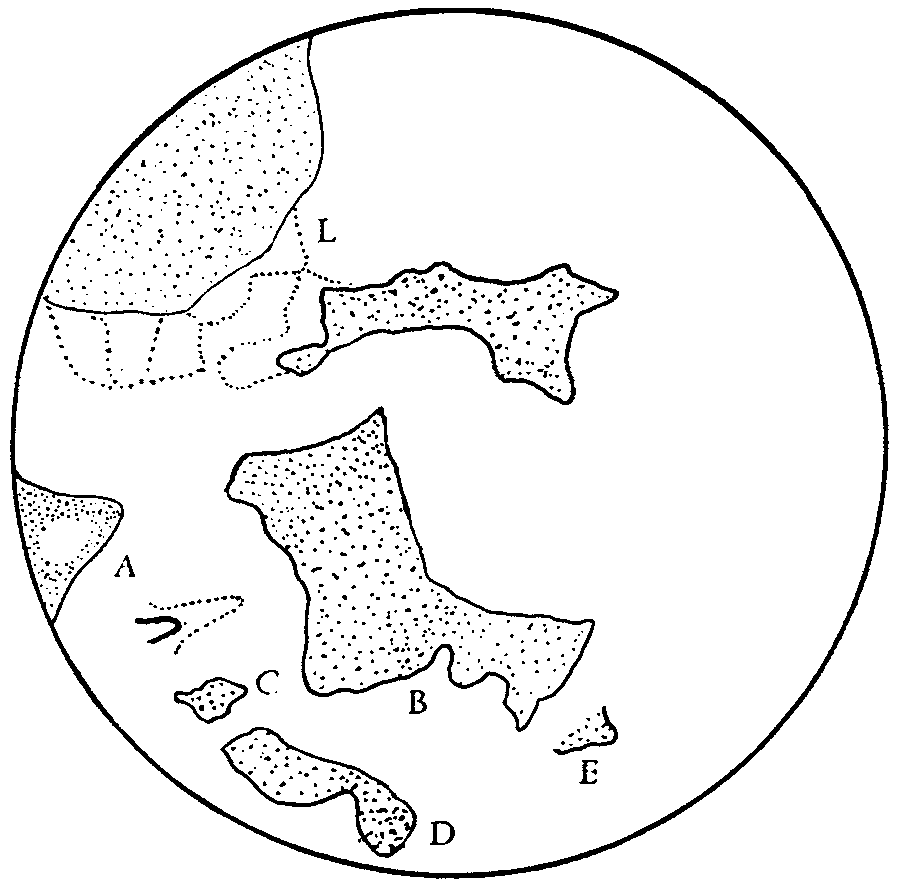 Fig. 2. Cubitermes sp. Diagram of the constructions: solid lines, 14 hours after installation in a Petri dish 19 cm in diameter and 3.5 cm high; dotted lines, 15 hours 23 minutes after installation. L, junction of two almost horizontal sheets. Construction became concentrated in the area marked L, which contained two large initial structures, one extending from the vertical wall (an oblique sheet), the other from pillars. Initial structures A, B, C, D and E were abandoned (apart from a tongue extending from a pillar, which was lengthened quite considerably) and were not incorporated into the final construction.
