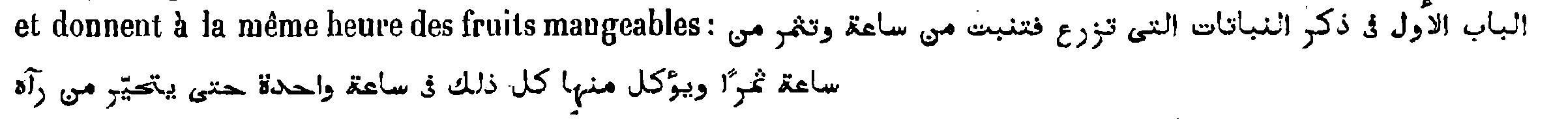 Arabic quotation in the continuation of Kraus, p. 104, n. 12 (printed on p. 105)
